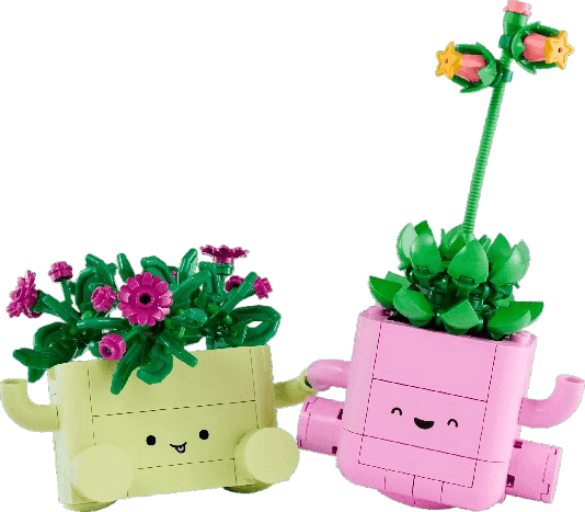 Rocking Plants